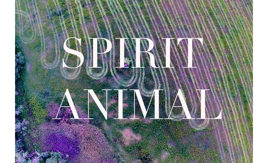 SPIRIT ANIMAL